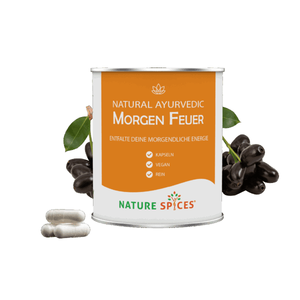 Ayurvedic Healthcare - Sunrise Spark